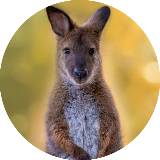 wallaby_round